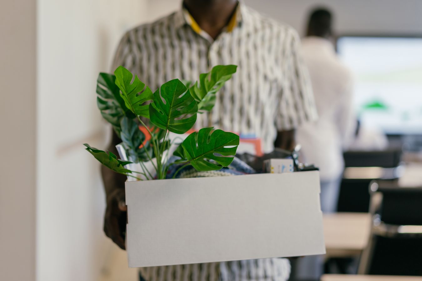 A man in a patterned shirt carrying a white box with a plant and desk things through an office