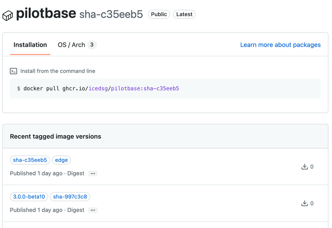 The public ghcr.io/icedsg/pilotbase package page with tagged versions 3.0.0-beta10 and edge