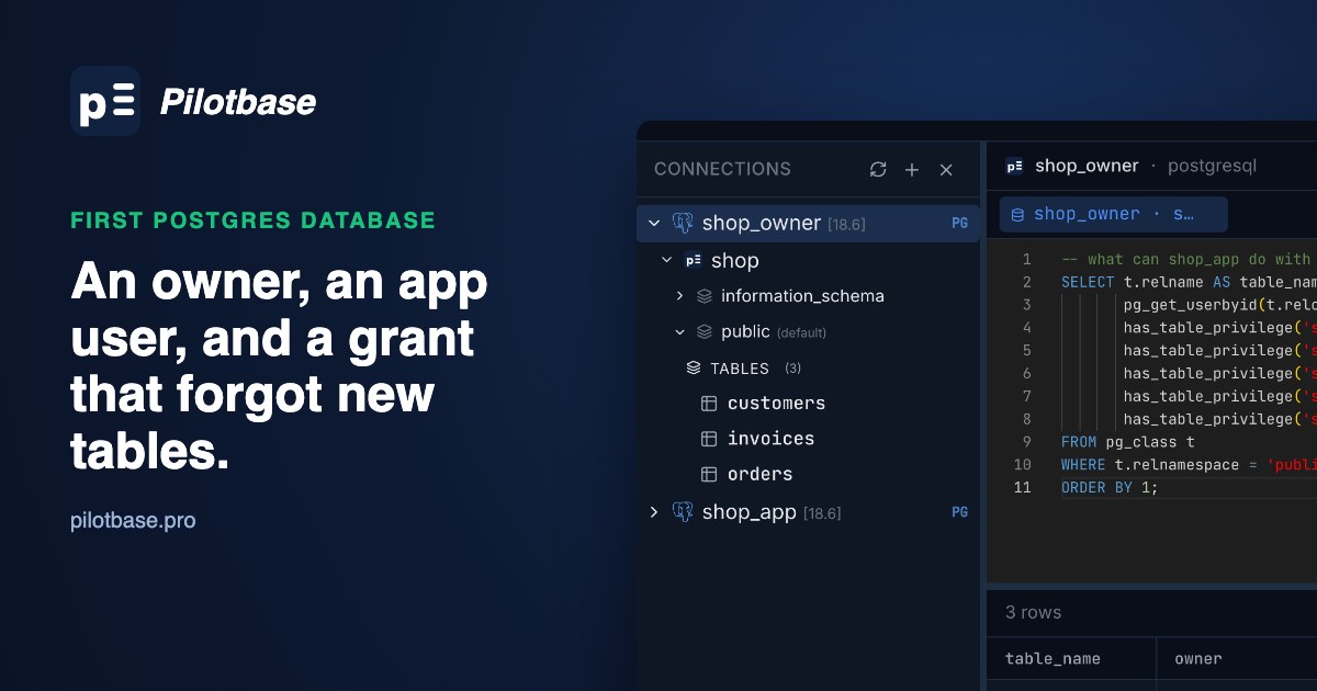 Pilotbase connected to a shop database as shop_owner, with a query listing what the app user may do with each table