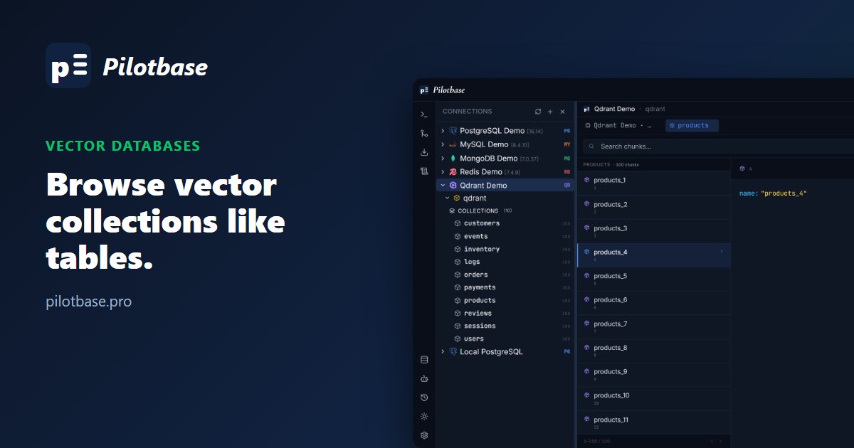 Pilotbase vector chunk browser showing a Qdrant collection